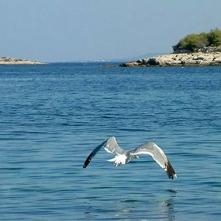 Stipanelo Daire Murter