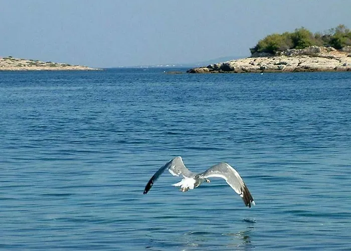 Stipanelo Lägenhet Murter