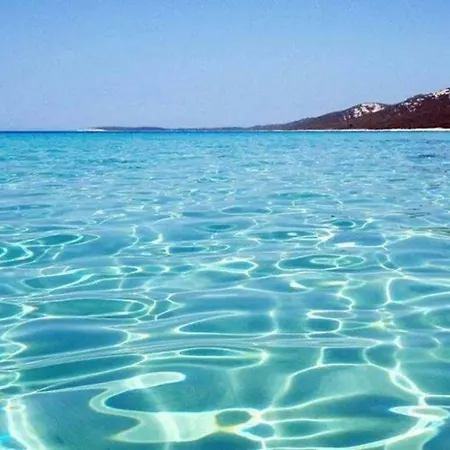 Stipanelo Apartamento Murter